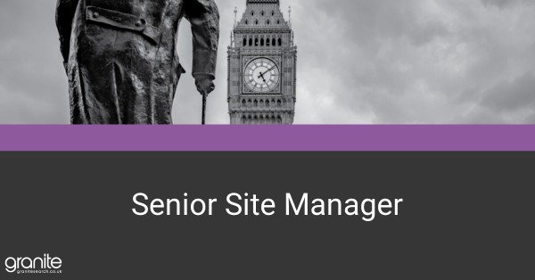 Granite Search tweet media