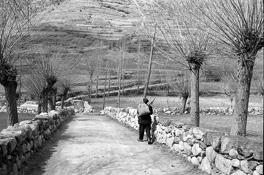Arxiu_Andorra's tweet photo. #SetmanadelaPedraSeca
Avui, amb 4 fotografies del fons Werner Lengeman
Camí amb murs de pedra seca a l'entrada d'Encamp
Referència: 0071 i 0160
Fons: FL
Data: 1955-1960
Autor: Werner Lengeman https://t.co/Si9qhYTDiA