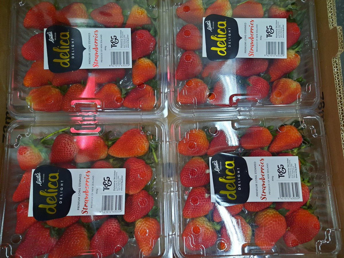 Nuj53886874's tweet photo. #สตอเบอรี่ #นิวซีแลนด์ ลูกใหญ่
ถาดละ 4 แพ็ค
แ��็คละ 500-600g
หอม สด หวาน https://t.co/oGGTy03YrP