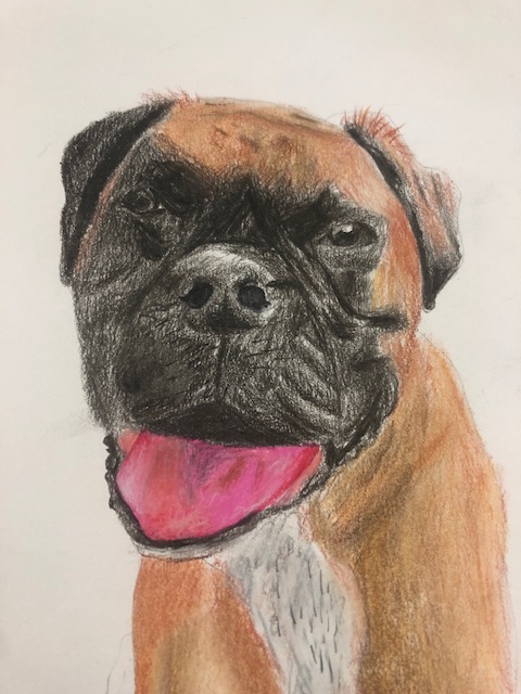 DykeHouse's tweet photo. Some amazing artwork from Year 7 student Lilly P yesterday, well done Lilly!#ouramazingstudents #extraapplause https://t.co/abiGelLFiH