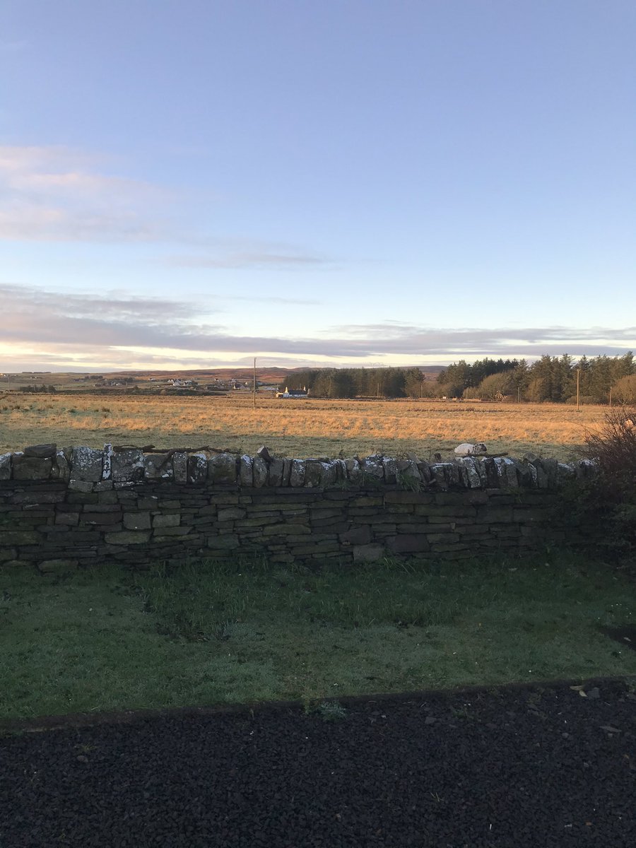 KirsteenCampbel's tweet photo. Good morning from the north #countryviews #beautifulnovember https://t.co/Q9djh4eKBo