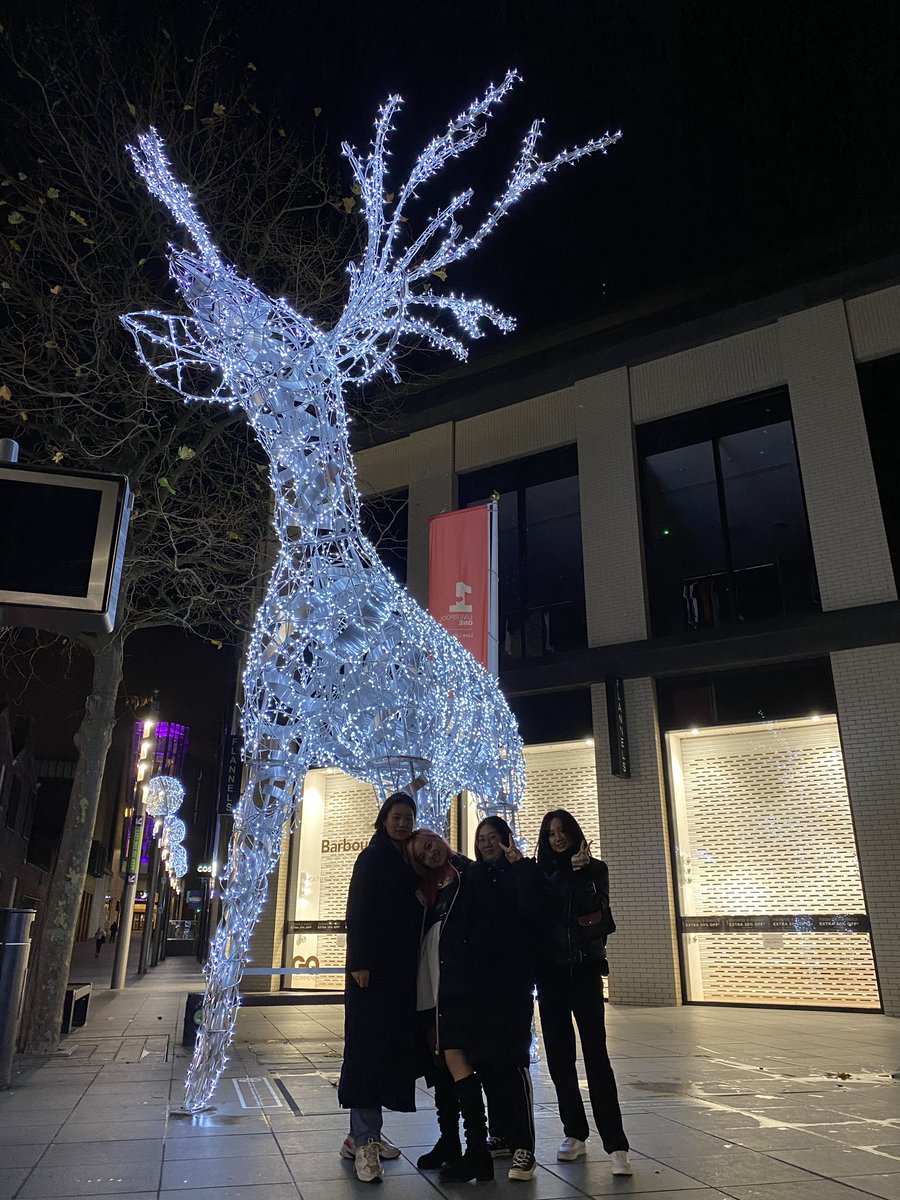 Kathesterleo's tweet photo. 🎄 https://t.co/lJJEuOapGo