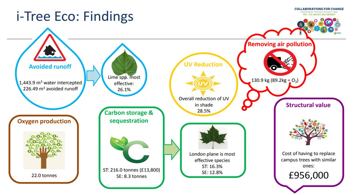 UoMSust's tweet photo. Aren't trees brilliant? Final week of #GMTreeMonth & perfect opportunity to throwback to @TheEAUC session with Dr Anna Gilchrist highlighting all the benefits trees provide & the @iTreeTools analysis we did of our campus trees.
See full presentation at https://t.co/w5aSs3spFM https://t.co/txXxgEmXMi