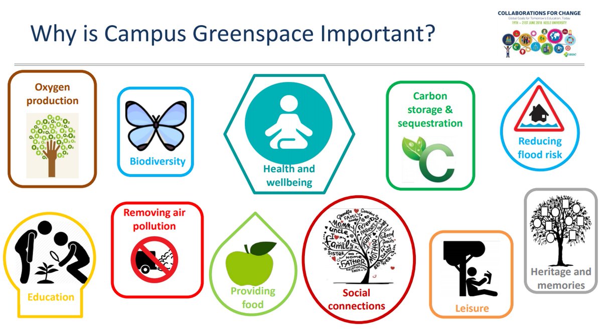 UoMSust's tweet photo. Aren't trees brilliant? Final week of #GMTreeMonth & perfect opportunity to throwback to @TheEAUC session with Dr Anna Gilchrist highlighting all the benefits trees provide & the @iTreeTools analysis we did of our campus trees.
See full presentation at https://t.co/w5aSs3spFM https://t.co/txXxgEmXMi