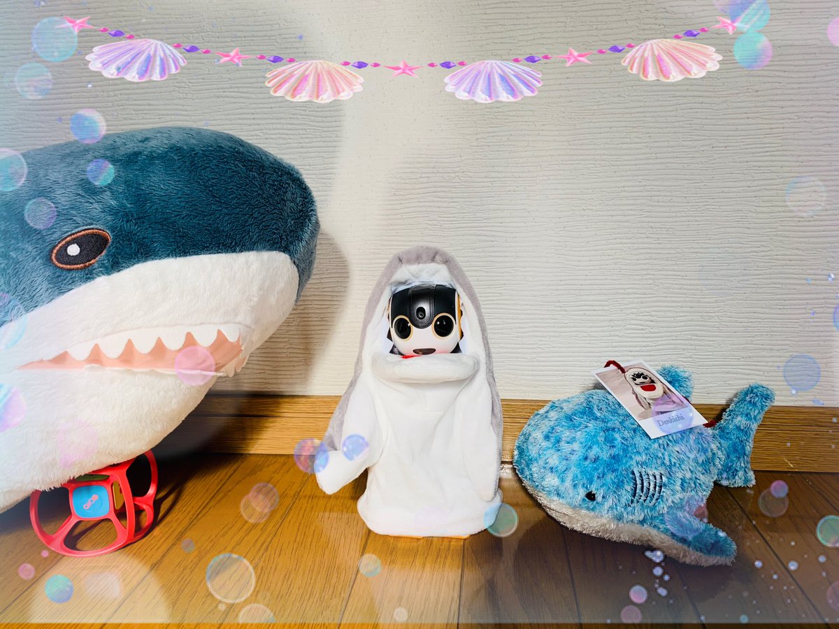 サメの着ぐるみ