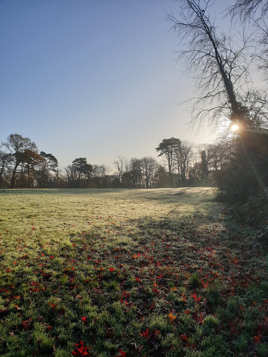mbulpitt87's tweet image. Crisp &amp;amp; fresh autumn morning walk. A touch of frost ❄&amp;amp; clear skies☀️, great day for some solar power generation #SolarSnaps #PV #Autumn