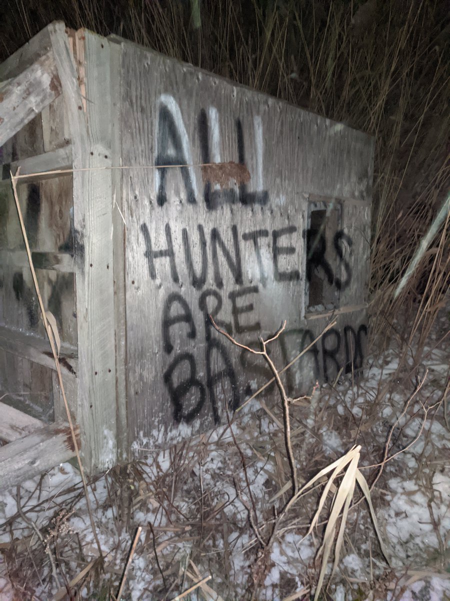 unoffensiveanimal tweet media