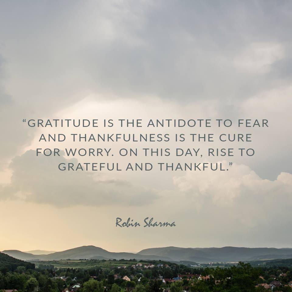 #GratitudeRocks Happy Thanksgiving.