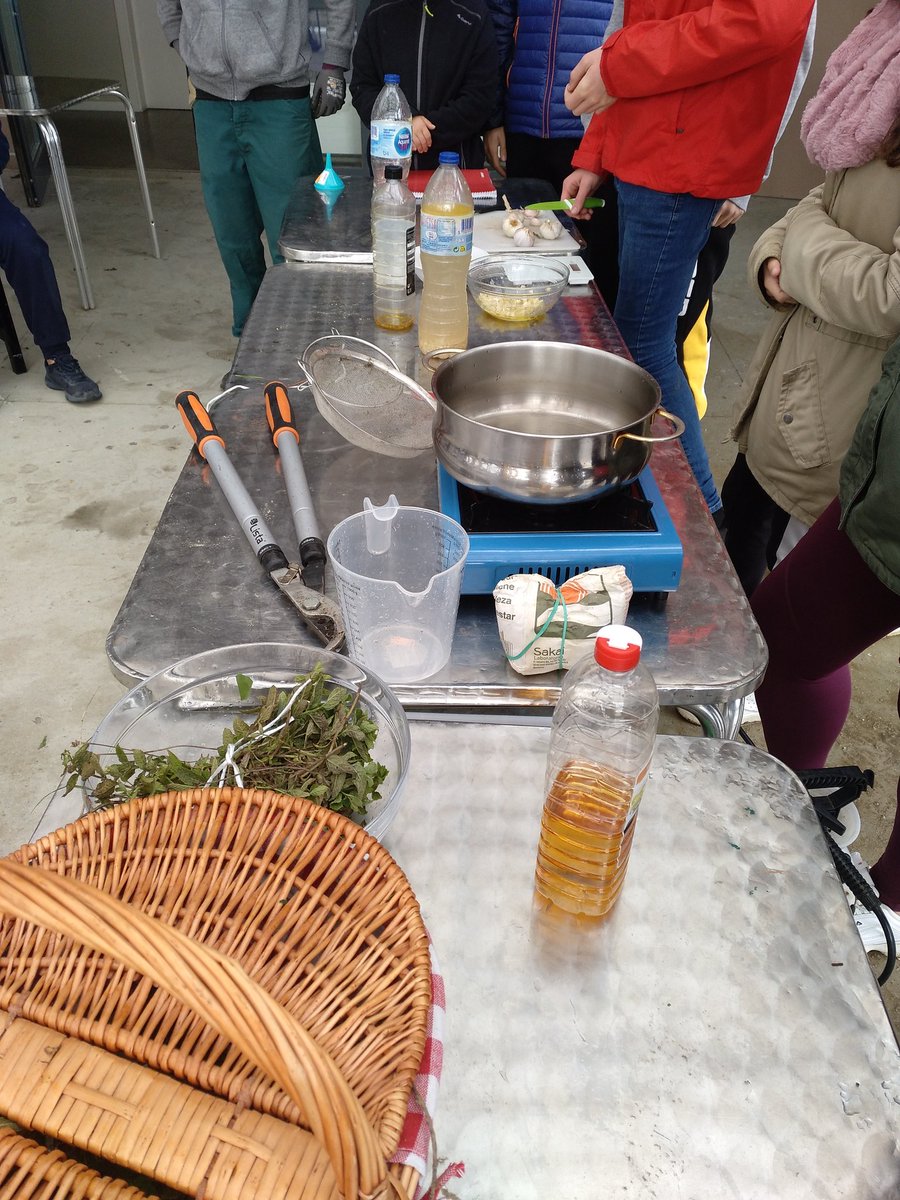 mvictoriacaner's tweet photo. 3r IFE ens ensenya extractes vegetals per lluitar contra plagues als horts i jardins.... Heures, alls, menta.... @INS_Pla_Marcell amb la #setmanadelaciencia https://t.co/CnAcHb4niy