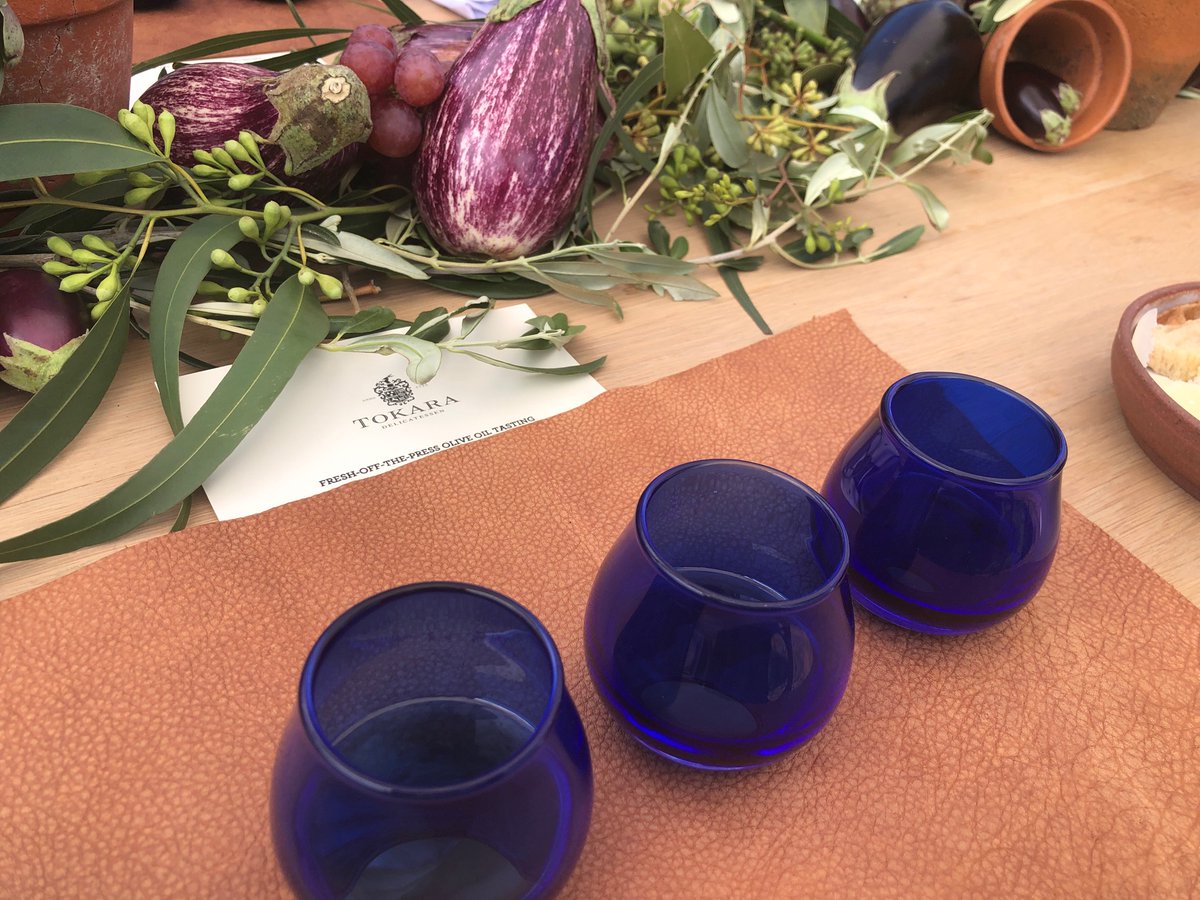 GC_Com's tweet photo. @TOKARA_ZA Olive oil tasting in the olive groves #TokaraOliveOil #IntOliveTreeDay https://t.co/G5y4nhTh17