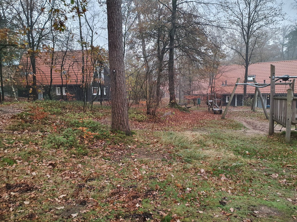 TomFontijn tweet picture