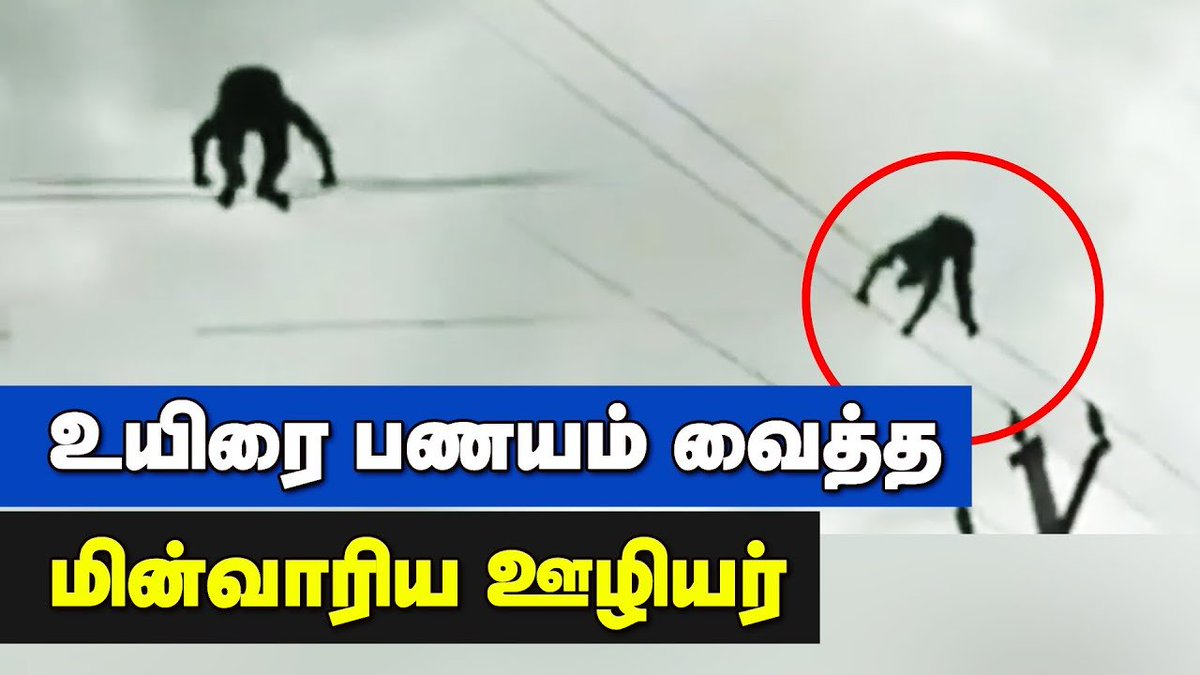 ibctamilmedia's tweet photo. மின் கம்பியில் சிக்கிய மரக்கிளையை அகற்றிய ஊழியர் | Cyclone Nivar
Video Link >> https://t.co/fcKlwxORvv
#Puducherry #EBMan #Nivar #Nivarcyclone #Nivarcyclonenews https://t.co/o45SfW5e9y
