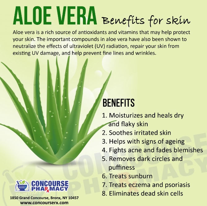 Concourse Pharmacy on Twitter: "Benefits of Aloe Vera #aloevera  #benefitsofaloevera #aloeverabenefits #healthbenefitsofaloevera  #aloeverauses #healthtips #healthcare https://t.co/Ejj3aT5dfY" / Twitter