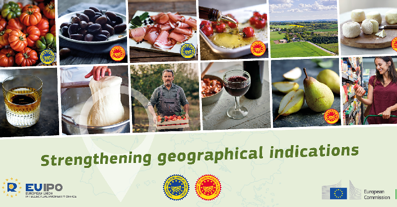 SciFoodHealth's tweet photo. 🔴 Follow @EUAgri #GI2020 debates live!
#Strength2Food coordinator, Matthew Gorton from @NCLBusiness & deputy, Filippo Arfini from @unipr, are presenting the project's key results & recommendations to improve the effectiveness of geographical indications (GIs). #EUQuality