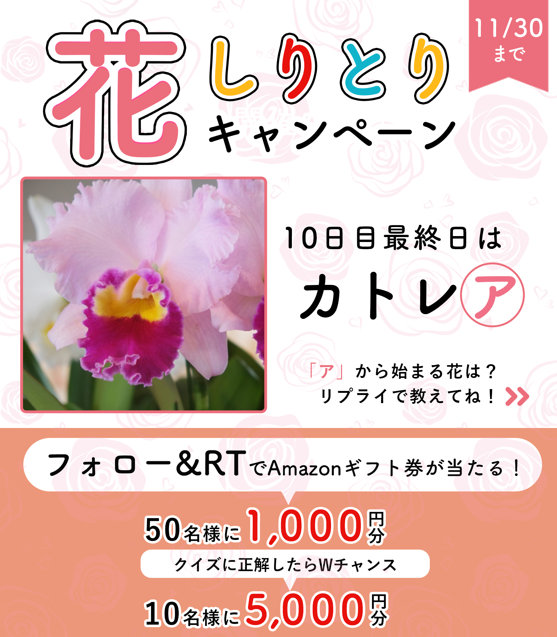 花キューピット I879 Com 公式 山下智久さんが届けます 母の日特別お届けキャンペーン 花しりとり キャンペーン最終日 カトレア アから始まる秋冬の花は 好きな花があったらフォロー Rt 50名様にamazonギフト券1 000円分が当たる 応募