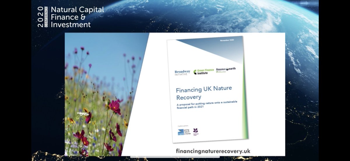 financeuknature's tweet photo. #financinguknature #naturalcapitalfinance2020 https://t.co/18P0rZQ4oj