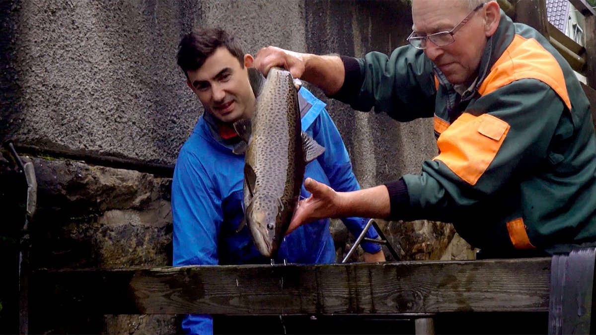 TogetherukTV's tweet photo. Journey with @SimonWIParker as he embarks on the final stage of his journey in Southern Sweden 🇸🇪
Among trying new foods, he also gives some wildlife a helping hand 🐟
Watch #EarthCycle today at 12pm on #TogetherTV 😌
#SimonParker #Wildlife #Travel #Cycling #Sweden https://t.co/GXyUy5xg7n