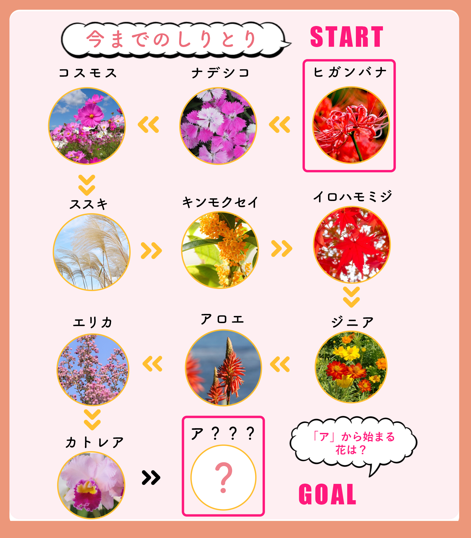 花キューピット I879 Com 公式 花しりとり キャンペーン最終日 カトレア アから始まる秋冬の花は 好きな花があったらフォロー Amp Rt 50名様にamazonギフト券1 000円分が当たる 応募方法 I8791 をフォロー この投稿をrt アから