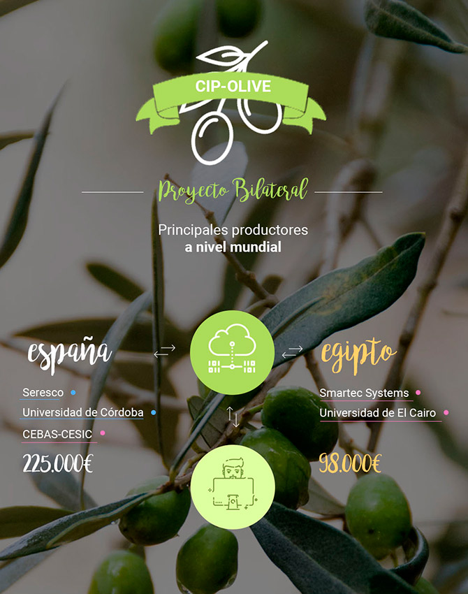 cultivagreen's tweet photo. Hoy en el #DíaMundialdelOlivo recordamos el proyecto en el que participa @seresco con su plataforma en la nube @cultivagreen para el cultivo de precisión del olivar, integrando el manajo de enfermedades, salinidad y riego eficiente #Egipto #CIPOlive 🫒 https://t.co/8xEzzWIInJ https://t.co/MnJOKbYzuf