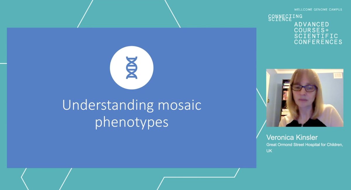 Eva Hulstaert (@ehulstaert) on Twitter photo Excited to join the 2nd day of the #DermGenomics2020 course - Prof. Veronica Kinsler @KinslerLab kicked off with a great talk on mosaic disorders in dermatology!
Thanks for organising this virtual event
<a href="/drsarabrown/">Sara 💙💛 🇺🇦</a> <a href="/davidkelsell/">david kelsell</a> <a href="/EdelOToole/">Edel O'Toole</a> <a href="/derm_scientist/">Neil Rajan</a> <a href="/ACSCevents/">Wellcome Connecting Science Courses and Conference</a> Excited to join the 2nd day of the #DermGenomics2020 course - Prof. Veronica Kinsler @KinslerLab kicked off with a great talk on mosaic disorders in dermatology!
Thanks for organising this virtual event
<a href="/drsarabrown/">Sara 💙💛 🇺🇦</a> <a href="/davidkelsell/">david kelsell</a> <a href="/EdelOToole/">Edel O'Toole</a> <a href="/derm_scientist/">Neil Rajan</a> <a href="/ACSCevents/">Wellcome Connecting Science Courses and Conference</a>