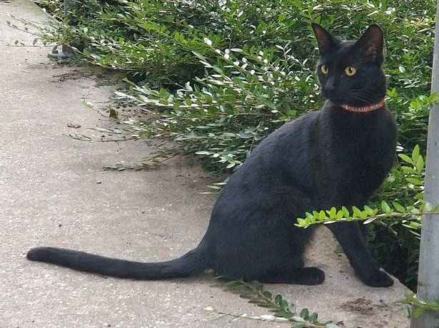 warwickretail tweet media