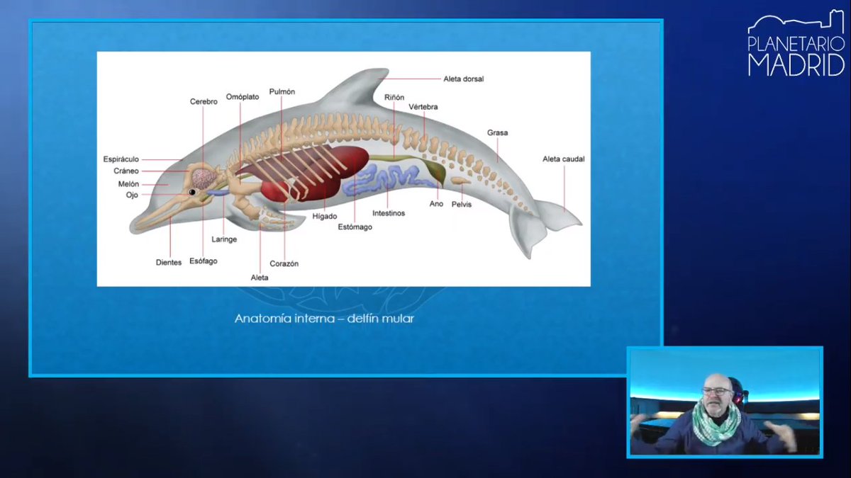 La importancia de la Fisiología Animal - Ondas y Partículas, image size:1200x675