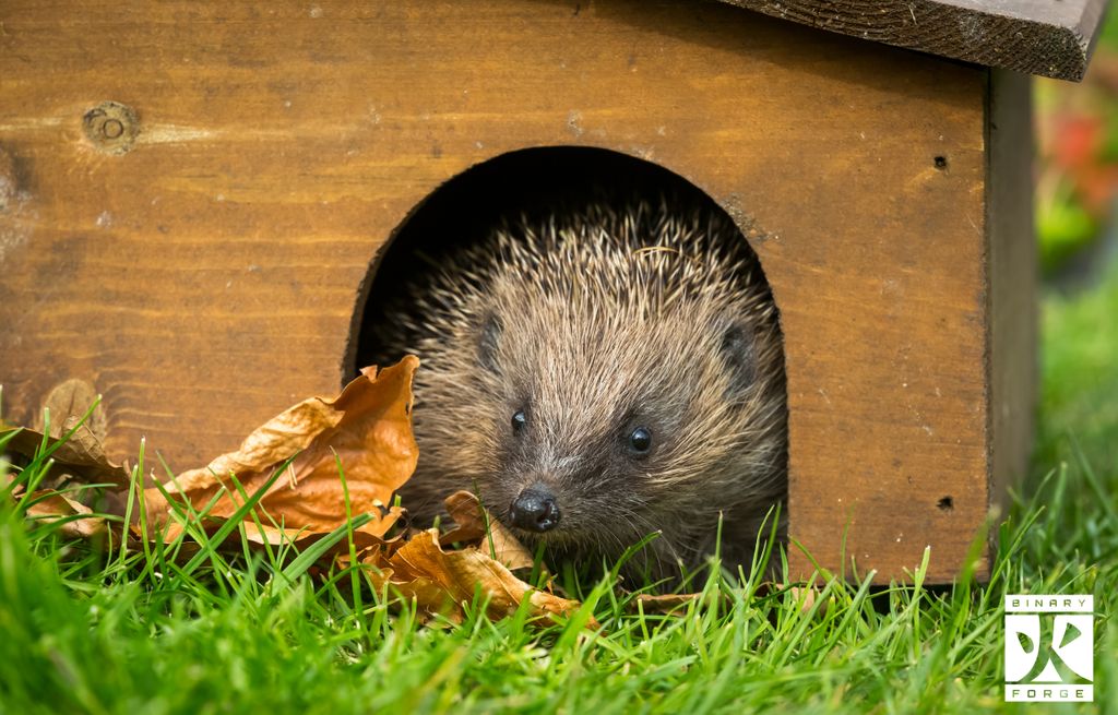 ForgeBinary's tweet image. As lockdown 2.0 comes to an end...
what’s on your bucket list for things to do (tier system permitting)?
  ○ Get a haircut
  ○ Go out for a meal
  ○ Go to the gym to work off the meal
  ○ Get that software developed by binaryforge.io ✅

 #customsoftwaredevelopment