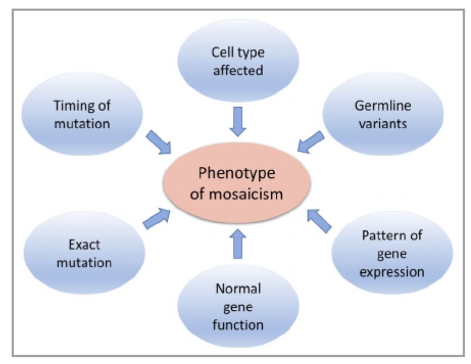 derm_scientist's tweet photo. Prof Veronica Kinsler @KinslerLab @TheCrick @GreatOrmondSt is giving a fantastic talk on #mosaicism, combining fundamental concepts, clinical phenotypes and precision therapies!

#DermGenomics2020 
Image from @BrJDermatol review
https://t.co/Be5dHisxsa https://t.co/Qp4jo9ZfRK