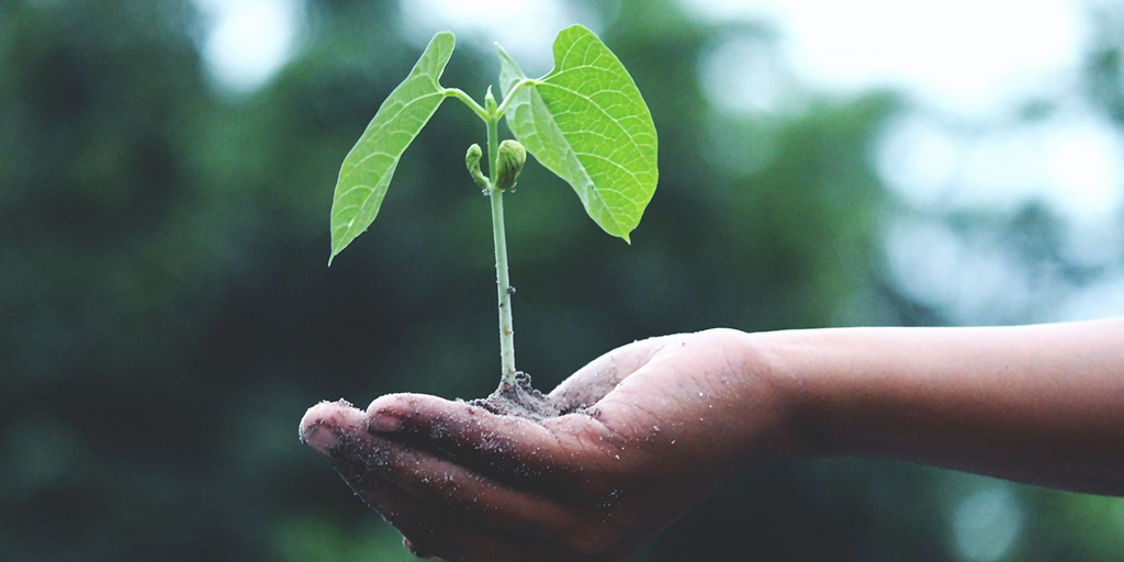 NHH Norwegian School of Economics (@nhhnor) on Twitter photo Ny rapport fra <a href="/SHub_No/">Sustainability Hub</a> viser at norsk næringsliv har kritisk mangel på kompetanse og helhetlig tilnærming til bærekraft. Analysen er gjennomført i samarbeid med <a href="/NHHnor/">NHH Norwegian School of Economics</a>-forskere. bit.ly/367MmnW Ny rapport fra <a href="/SHub_No/">Sustainability Hub</a> viser at norsk næringsliv har kritisk mangel på kompetanse og helhetlig tilnærming til bærekraft. Analysen er gjennomført i samarbeid med <a href="/NHHnor/">NHH Norwegian School of Economics</a>-forskere. bit.ly/367MmnW