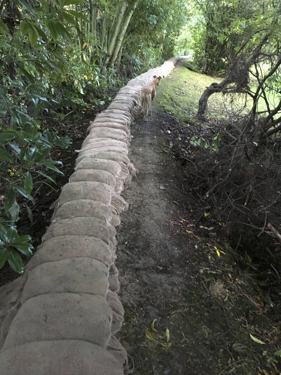 JudyCorbett's tweet photo. Just wanted to say a big thank you to everyone who helped us yesterday (for socially-distanced session) fixing & strengthening the flood wall. As ever, with your help the impossible seems achievable. Amazing people.Look how far we've come in 18 mths...#teamwork #ProtectingHistory https://t.co/kz1lmY4F5w