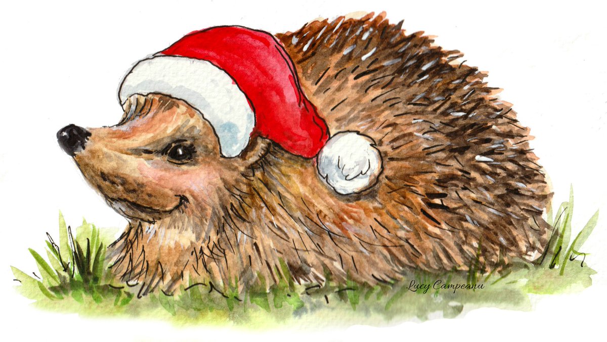 BhwPrint's tweet photo. This ought to spike your interest.......
Ok, we are stepping away from the Hedgehog puns now.

When Hog Haven Rescue reached out and asked us to print some fund raising Christmas cards for them, we were glad to help out.
See the full story here https://t.co/96WAInIHIF https://t.co/Cns156q28H