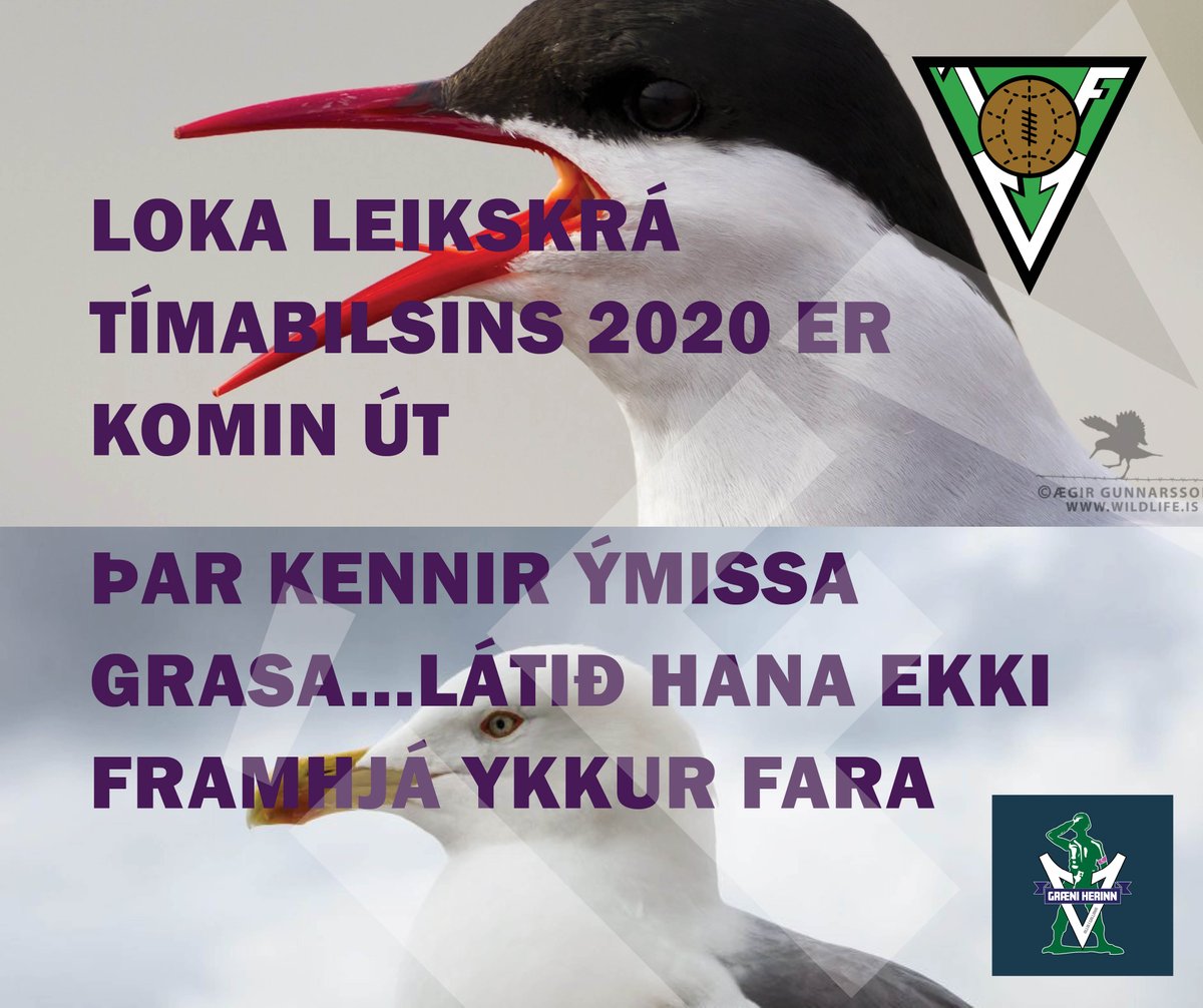 Tímabilið 2020 varð heldur endasleppt eins og allir vita. Fjölmiðlateymið okkar frábæra fékk þá snilldar hugmynd að gefa út eina lokaleikskrá með nokkrum pistlum og þökkum fyrir sumarið.
Hér að neðan fylgir linkur á leikskrána:
volsungur.is/static/files/k…