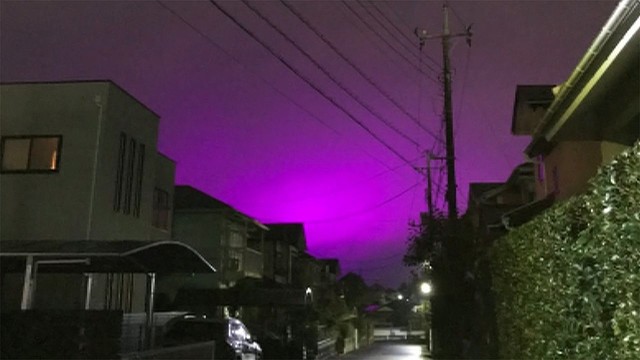千葉市の空が紫色に染まる なんとその理由はトマト農園のledだった まとめダネ