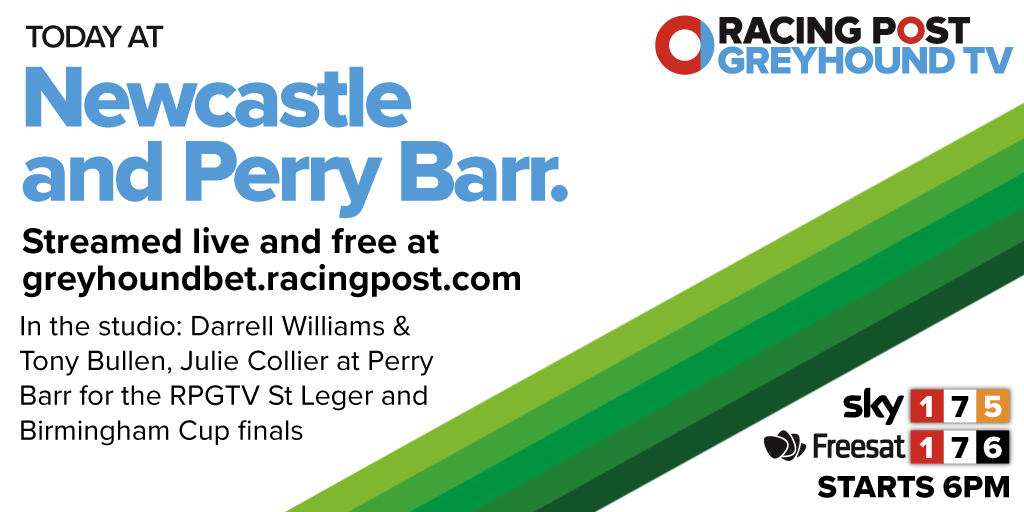 racing post greyhound tips today