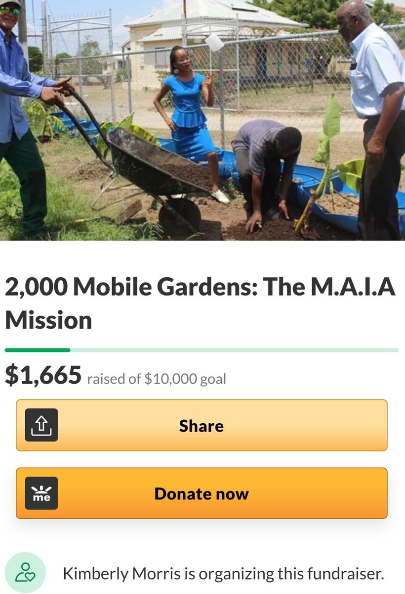 ImpactedByMaia's tweet photo. Great article in yesterday's @JamaicaGleaner. Congratulations @floydgreenja on giving away 2500 planting kits. Great minds think alike. We are assisting with 2000 Mobile Gardens #Jamaica #impactedbymaia
 #ParadigmShiftJamaica @Petchary @Smilejamtvj @JamaicaObserver @LoopJamaica https://t.co/gjcJlahBSM