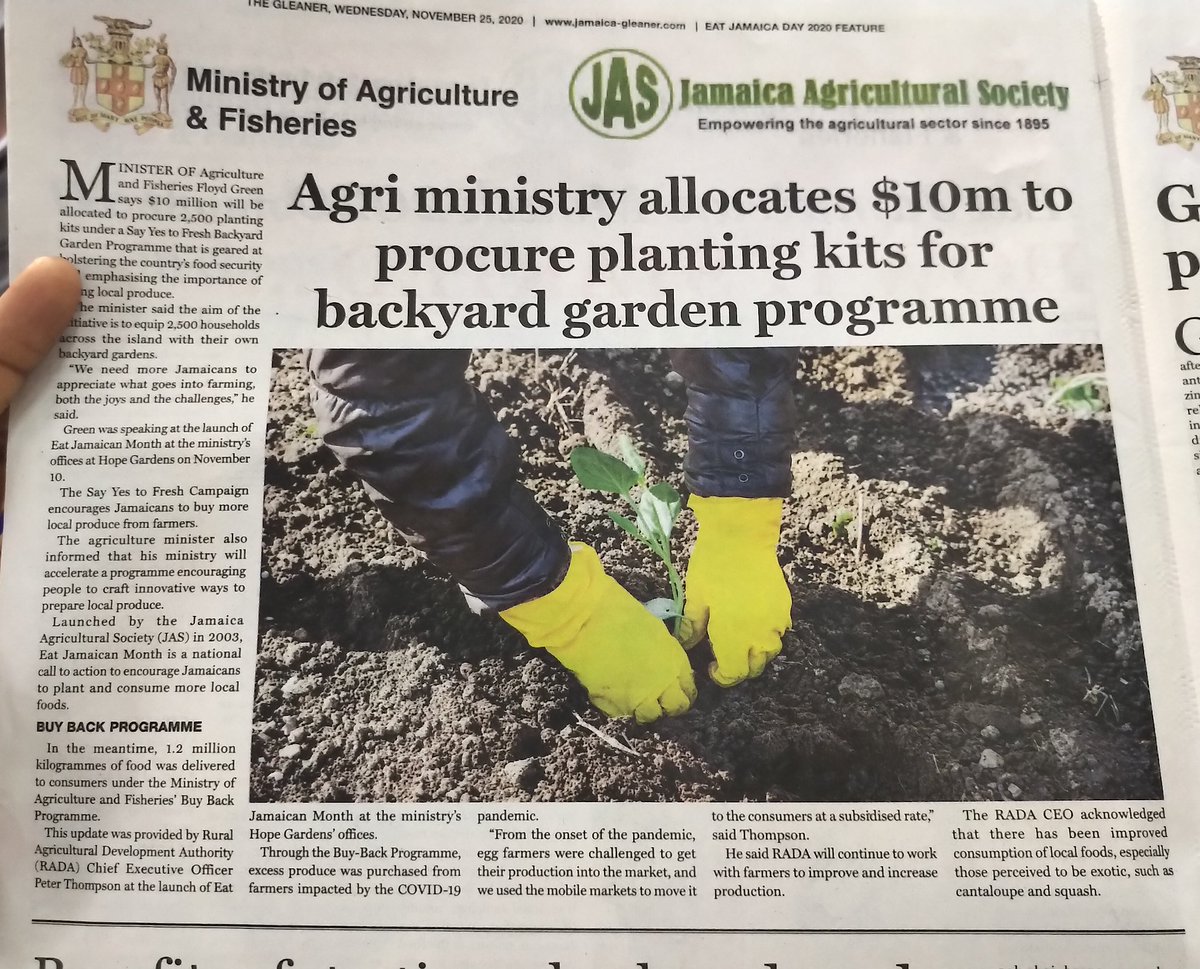 ImpactedByMaia's tweet photo. Great article in yesterday's @JamaicaGleaner. Congratulations @floydgreenja on giving away 2500 planting kits. Great minds think alike. We are assisting with 2000 Mobile Gardens #Jamaica #impactedbymaia
 #ParadigmShiftJamaica @Petchary @Smilejamtvj @JamaicaObserver @LoopJamaica https://t.co/gjcJlahBSM