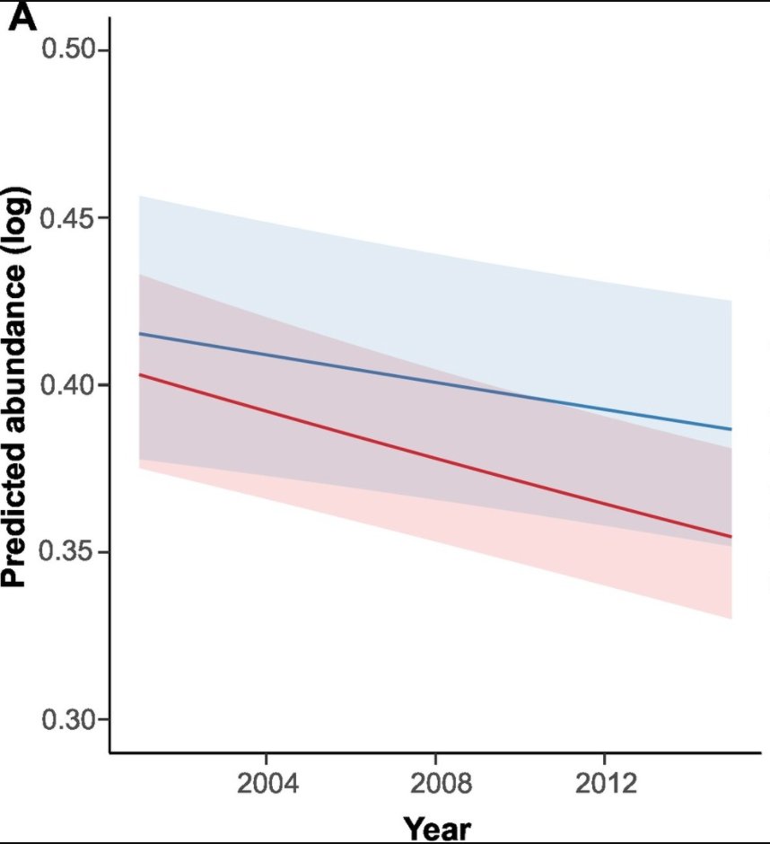 3/7 We provide evidence that common  #bird species - which were not directly targeted by the European Birds and Habitats Directives - may have benefited from the protection or management measures of the N2000 network, but are still in decline.