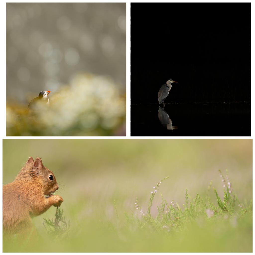 ouldhamdj's tweet photo. @Joeynoble One of my favourite styles. Love using negative space in my photography. Here are a few examples #littlelockdownchallenge https://t.co/X8ttB2lGRs