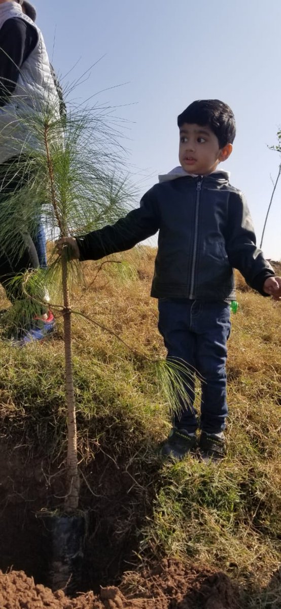 Inam_Ullah1980's tweet photo. Plant a Tree 🌴on your Birthday
On behalf of @hamzashafqaat have planted 10pine saplings at #iszi Park Expressway Khana Pul Ibd. https://t.co/BDhZYJS5lk