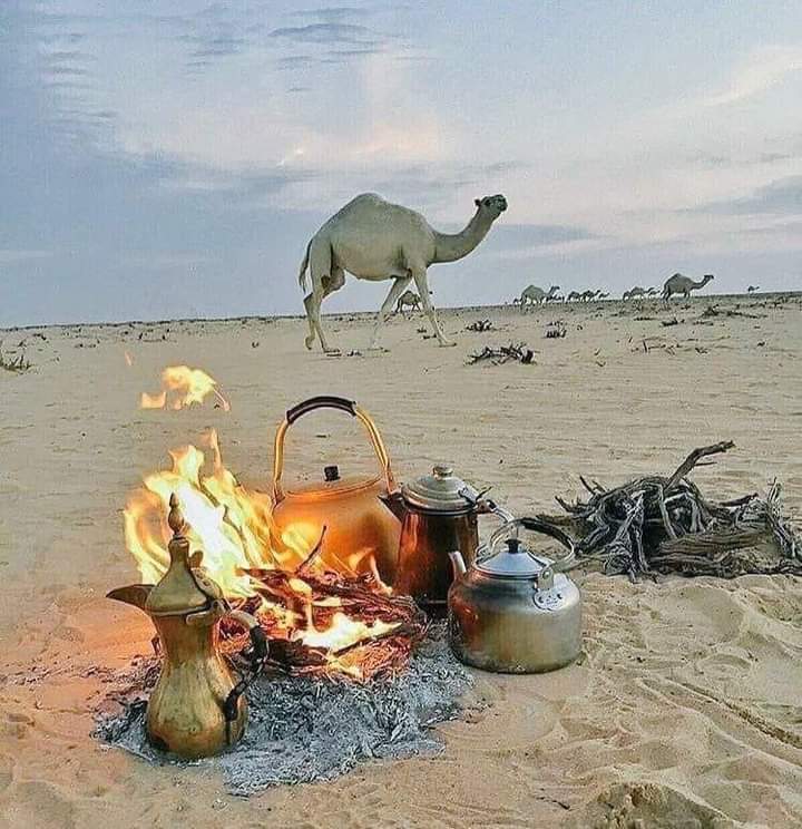 mana3binfarhan's tweet photo. تدري وش الي بغيابك كسبته
اغلب جماهير الحزن " تابعوني https://t.co/WDWQv5IOBe