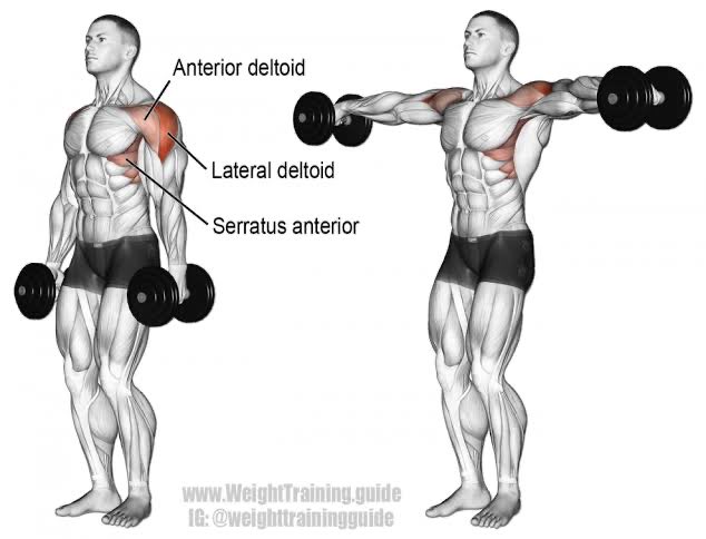 Masih back and shoulder1. Dumbbell Lateral raise2. Plate front raise3. Seated dumbbell overhead press ketiganya 3x12 repetisi