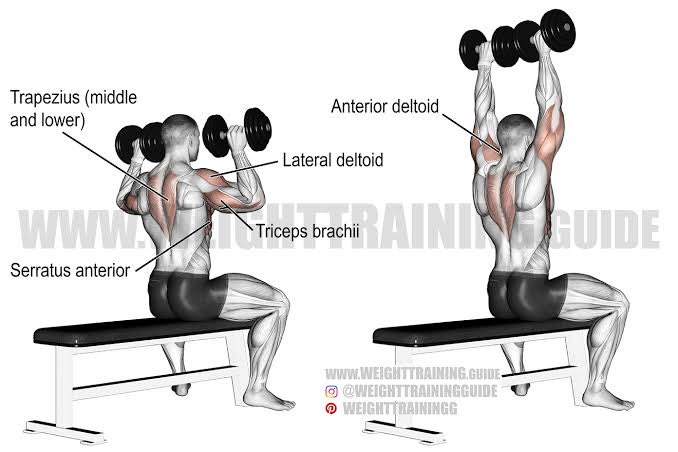 Masih back and shoulder1. Dumbbell Lateral raise2. Plate front raise3. Seated dumbbell overhead press ketiganya 3x12 repetisi