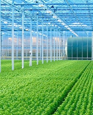 Santini Kwekerij Richard van Schie is al een aantal jaar onze energieklant. Met hun prachtige chrysant brengen zij variatie in onze #expertise. Dit vooruitstrevende bedrijf is erg duurzaam. Samen zorgen we er voor dat de energievoorziening zo efficiënt mogelijk wordt benut. 🔋⚡