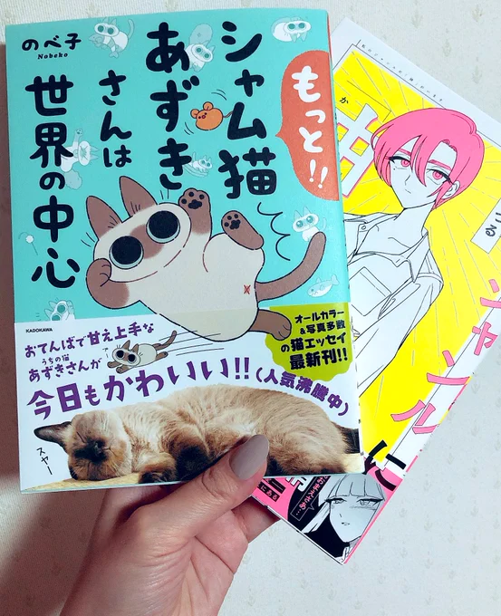 読むべや〜? 