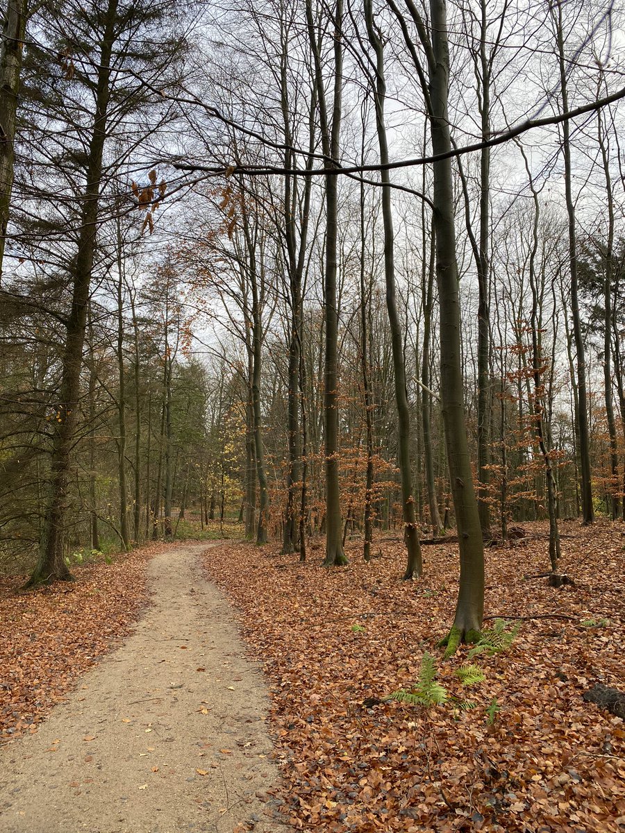 Ruhepark's tweet photo. #November https://t.co/l7WZxnz9iW