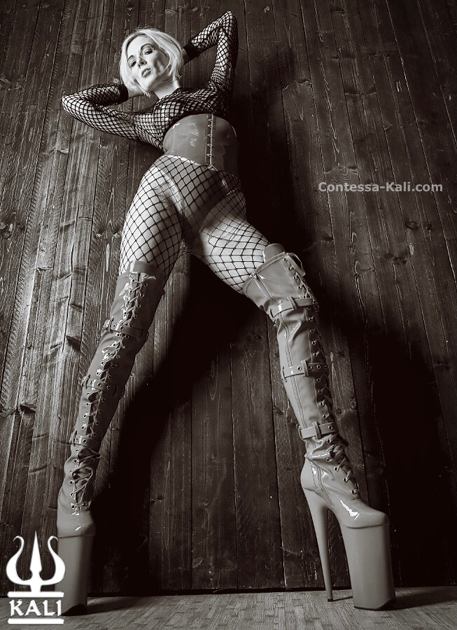 Get used to this perspective 👑

Gewöhne dich an diese Perspektive 👑