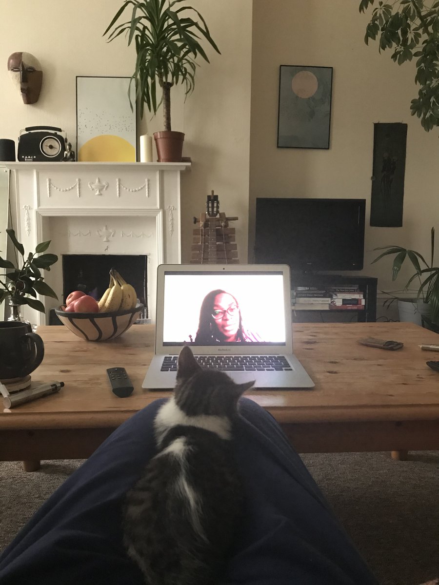 OlgaSzubert's tweet photo. Watching the launch of #WorldAIDSDay report. We need to decriminalise drug use and fund community-led services. My kitten and I completely agree #catsofharmreduction #harmreductionworks https://t.co/qSpTA5oSYl