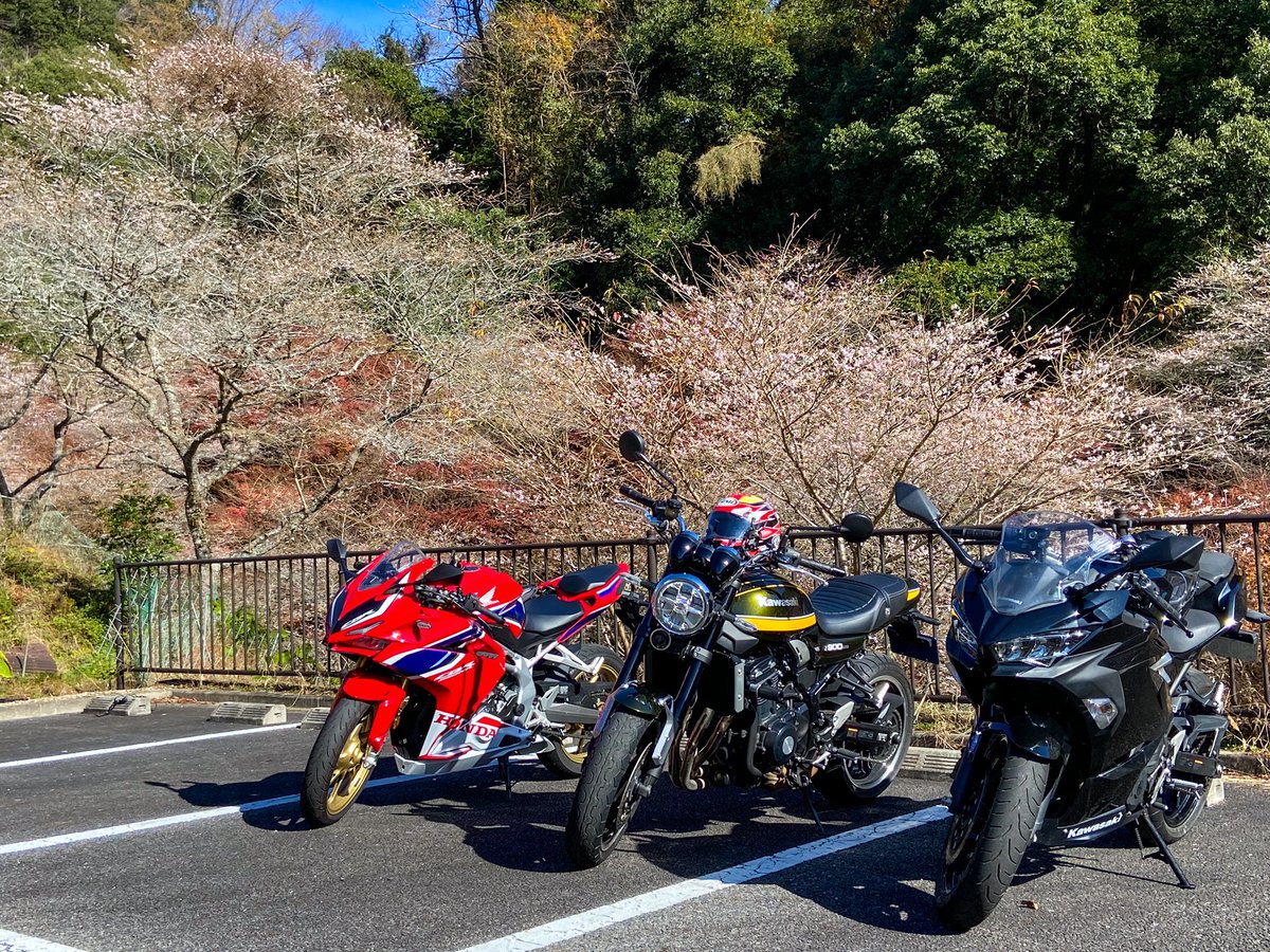sRegret's tweet photo. レンタルバイクでツーリングー(ヾ(｡･ω･)ﾉ https://t.co/OOqtBC7EJF