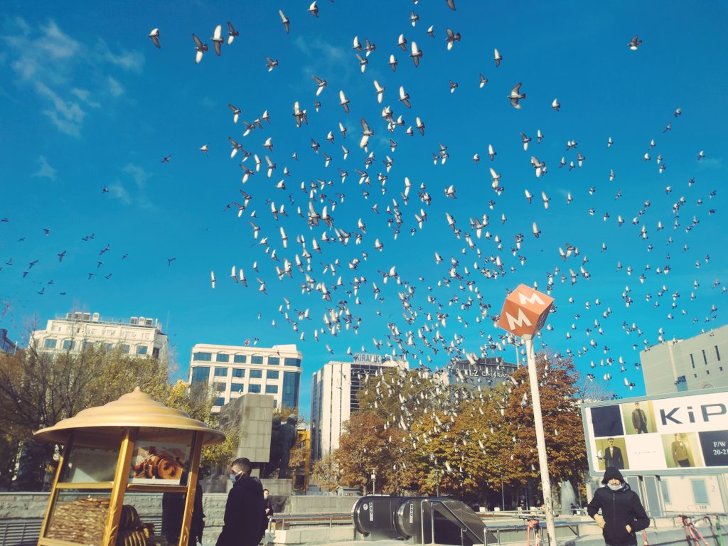 fitnatguney's tweet photo. Harika ve kuşlu bi' gün 🐦🦢 https://t.co/CPGsrTj95F