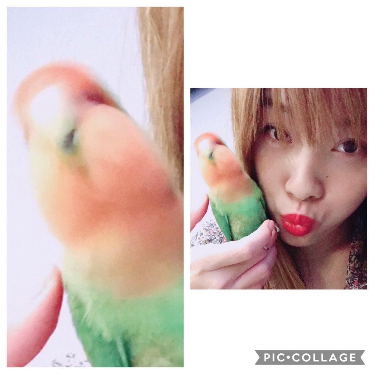 Avainsana 咒怨twitterissa